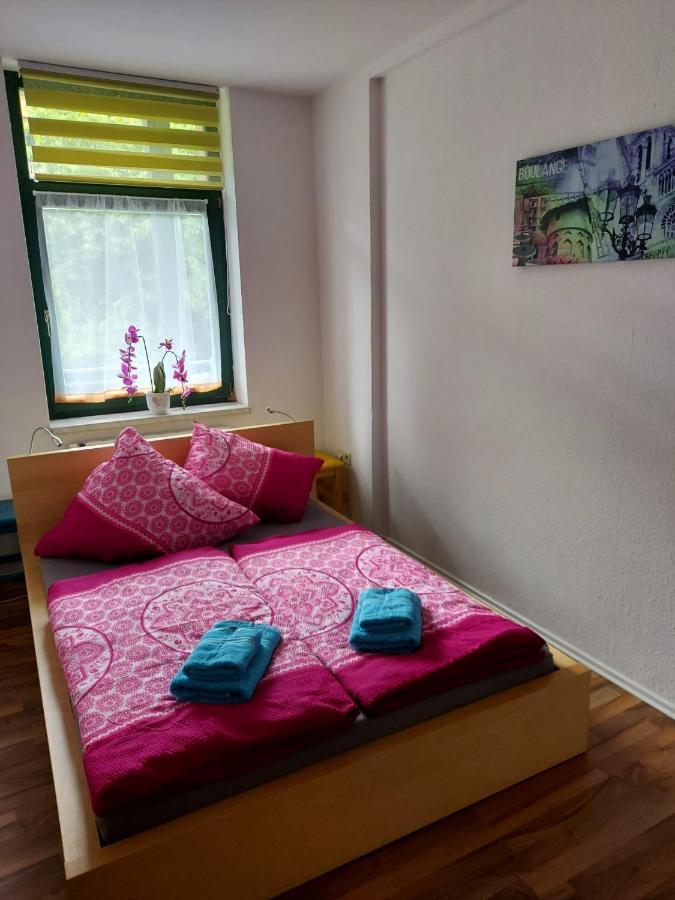 Ferienwohnung Eddi Reichenbach im Vogtland Ngoại thất bức ảnh